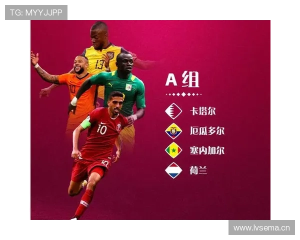 世界杯历届精彩数据全解析与球队球员表现统计分析 - 副本