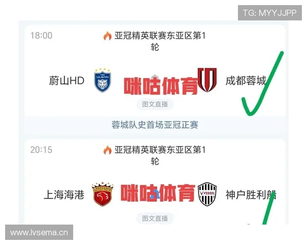 亚冠赛事精彩直播平台推荐全网最热观看方式和直播资源合集 - 副本 (3)
